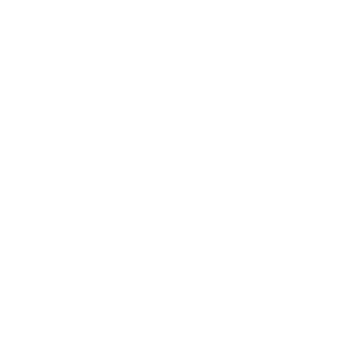 icon for holidays promotions